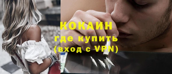 соль ск Дмитриев