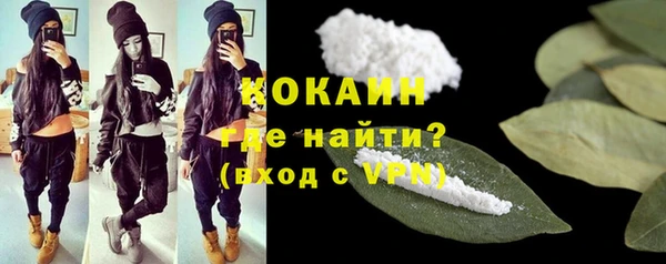 стаф Гусь-Хрустальный