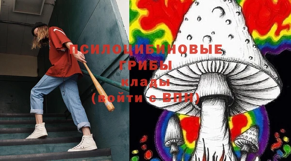 амф Дмитров