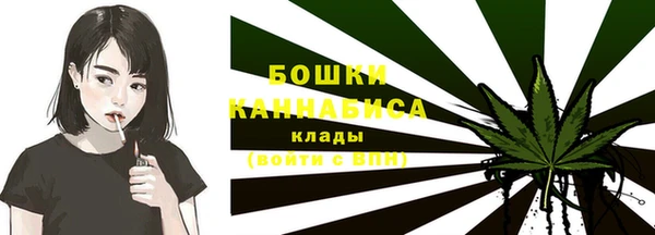 амф Дмитров