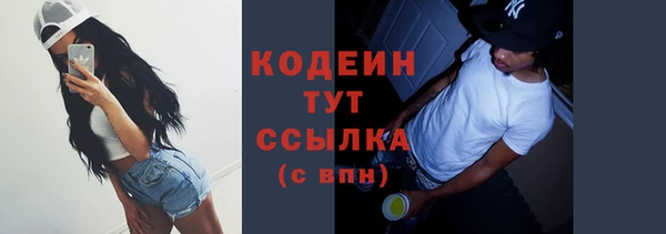соль ск Дмитриев