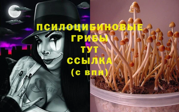 скорость Гусиноозёрск