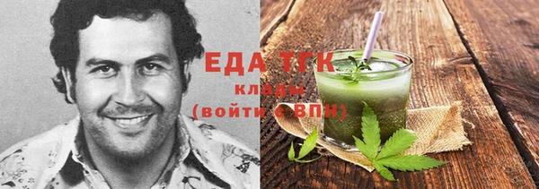 соль ск Дмитриев