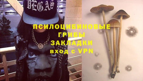 гашик Елизово