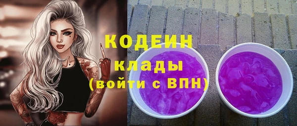 соль ск Дмитриев