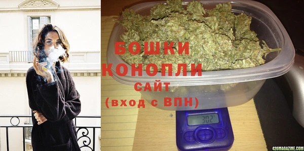 амф Дмитров