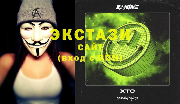 соль ск Дмитриев
