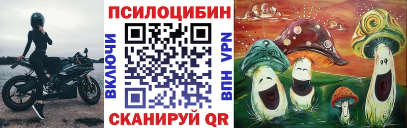 Галлюциногенные грибы ЛСД  Купить где  Михайлов 